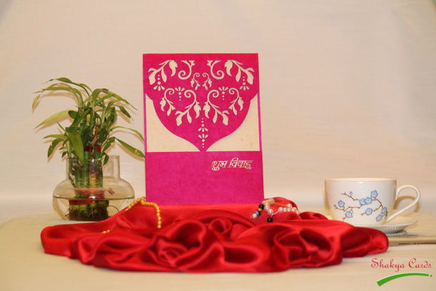 SC1001Pink SC1001Pink