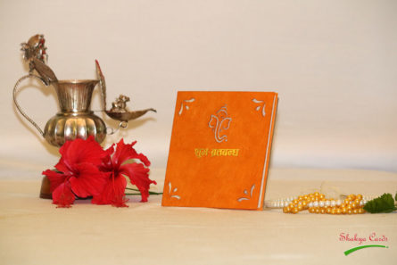SC1019Orange